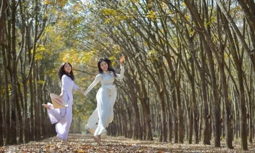 Kỹ thuật chụp ảnh ngoại cảnh rừng cây: "Thổi hồn" vào bức hình